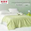 Hengyuanxiang Antibacterial Cool Summer Quilt