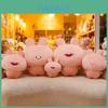 Assamimi Plush Toy Pillow With Mask Night Sleep Mask For Kids And Adults
