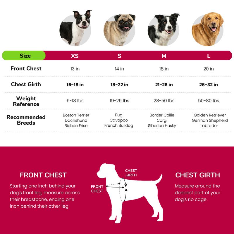 No Pull Nylon Dog Harness Mesh Padded Pet Harnesses Reflective Dog Walking Training Vest Breathable for Small Medium Large Dogs
