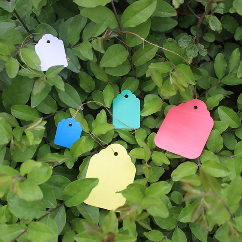 100Pcs Garden Plant Labels Plastic Plant Tags Nursery Markers Flower Pots Seed