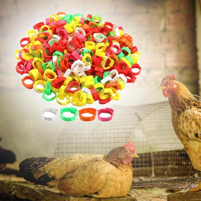 100Pcs Poultry Foot Rings, Bands, Leg Numbered Tag Markers Bands