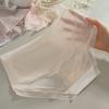Women's Ultra Thin Ice Silk Underwear Mid-Rise Seamless Transparent Panties See Through Invisible Briefs