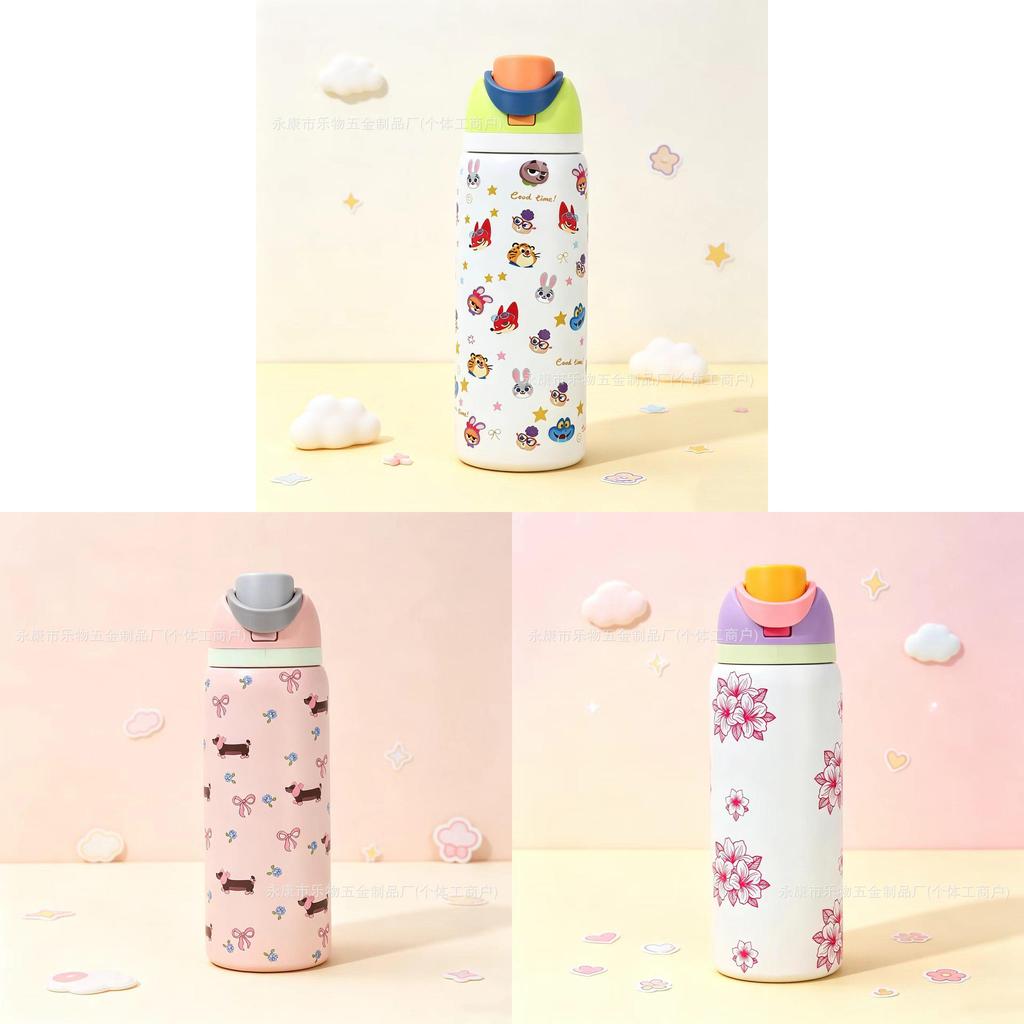 Owala Fruits Style Stainless Steel Travel Water Bottle For Office And Outdoors