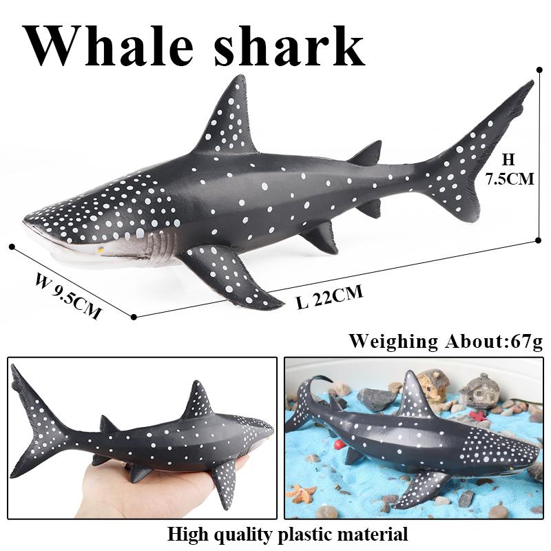 Oenux New Sea Life Seal Sea Lion Orcas Blue Whale Shark Megalodon Dolphin Aquarium Ocean Marine Animals Model Kids Toy Gift