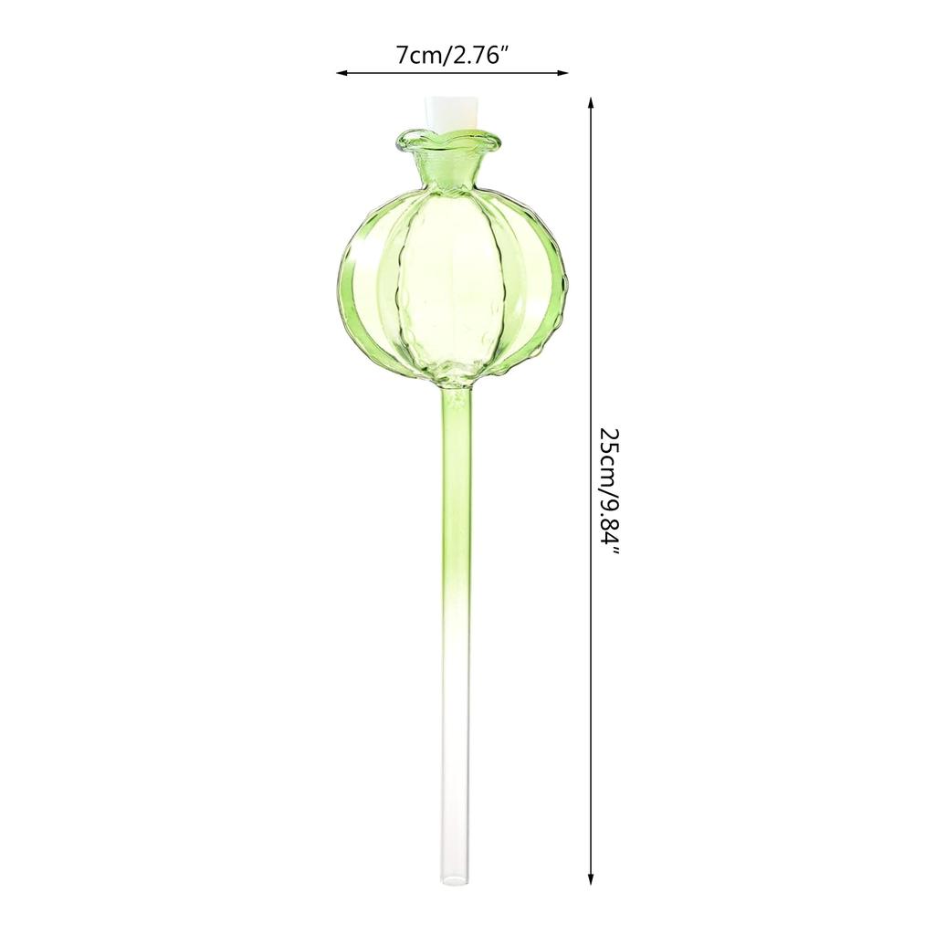 3pcs Plant Watering Globes Device Pomegranate Self Watering Planter Insert Automatic Water Irrigation Device for Indoor