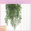 Aureum Epipremnum Plant Wall Hanging Durable Material Interior Decor