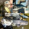 SAVAGEGEAR 3DM Shine Glide 230SS Yellow Head Konoshiro YLW HEAD for Sea Monster and Bluefish (230SS-YLHKN KONO) Bass, Bass, Fish, Rockfish,