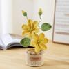 Handwoven Crochet Flowers Tung Blossom Realistic Artificial Flowers Snowflake Yarn Potted Knitted Flower Desktop Decoration