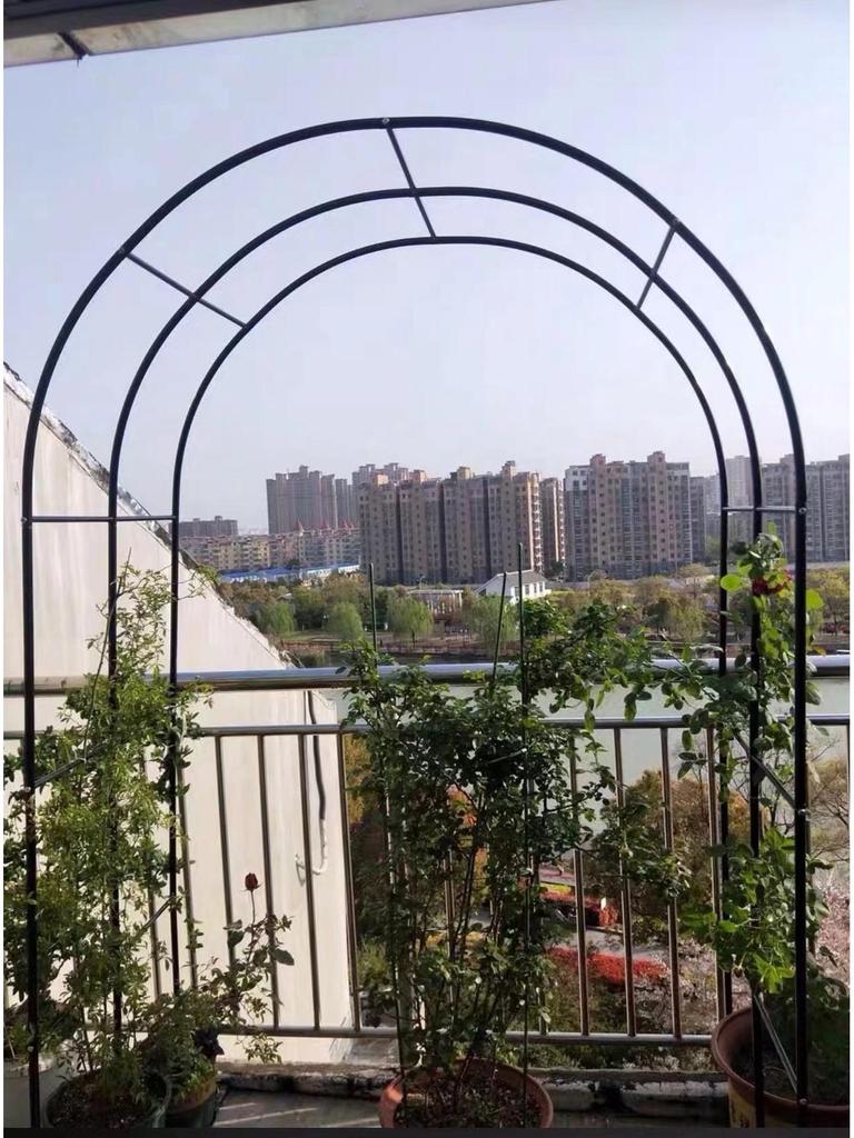 Rust-Proof Arch Trellis: Reinforced Climbing Vine Stand for Indoor/Outdoor Gardens and Courtyards.
