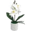 Realistic Plastic Phalaenopsis Artificial Flower Bonsai for Living Room Bedroom Desk Decor Compact Tabletop Size 26cm