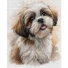 Shih Tzu Full 14CT DIY Counted Cross Stitch Art and Crafts Kits for Adults Home Decor Cross Stitch Embroidery Kits 15.75x19.69in