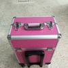 Professional Rolling Beauty Case