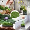 1-10 SZT Sztuczna Trawa Mech Bioniczna Sztuczna Zieleń Ornamenty do Aranżacji Krajobrazu Mikro Krajobraz Trawnik Bonsai Rośliny w Doniczkach Sceneria