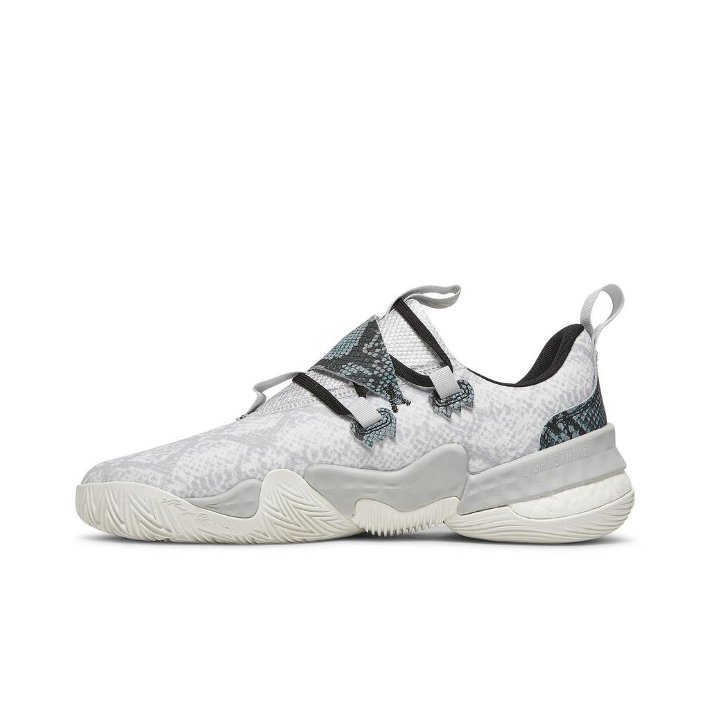 adidas Trae Young 1 'Snakeskin' (Unisex) Light Solid Grey / Crystal White / Core Black Vintage Basketball Shoes H67753