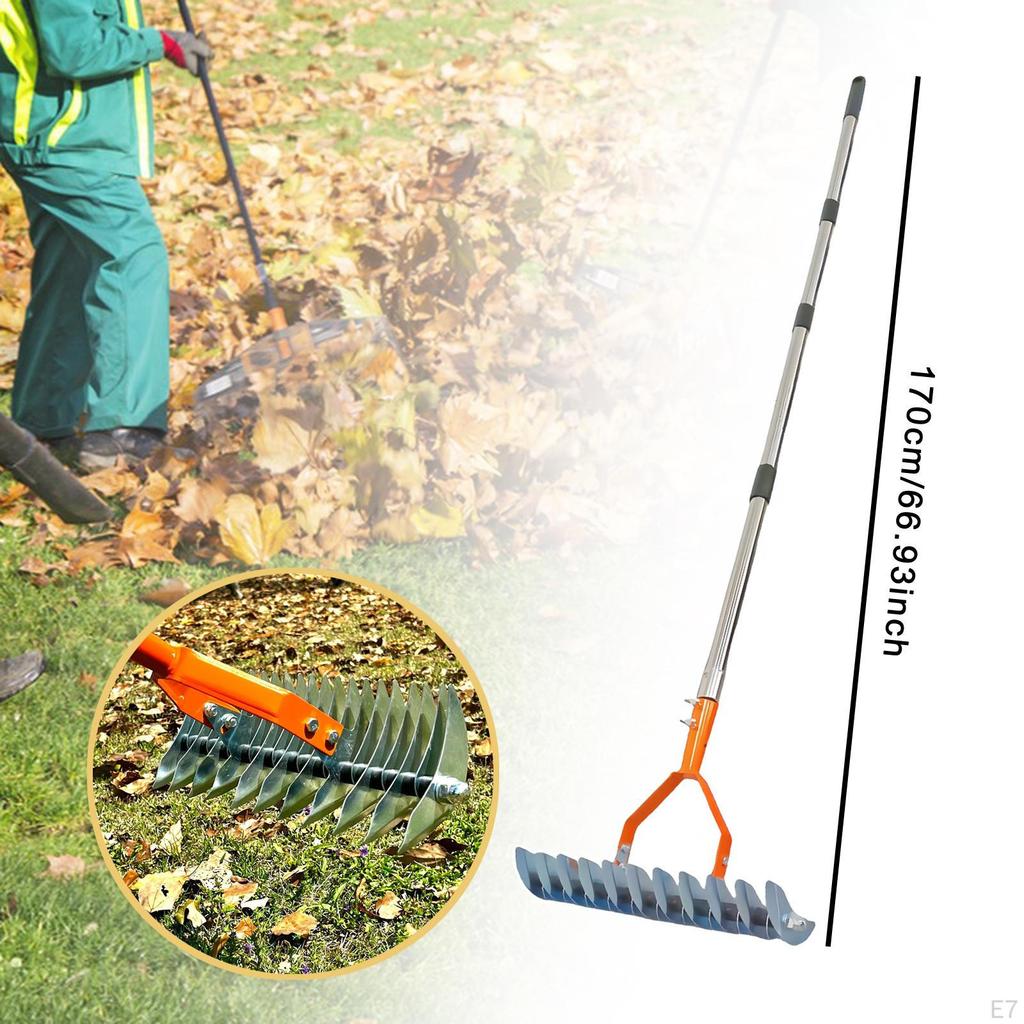 Brushcutter Rake Lawn Care Tool Loosens Soil