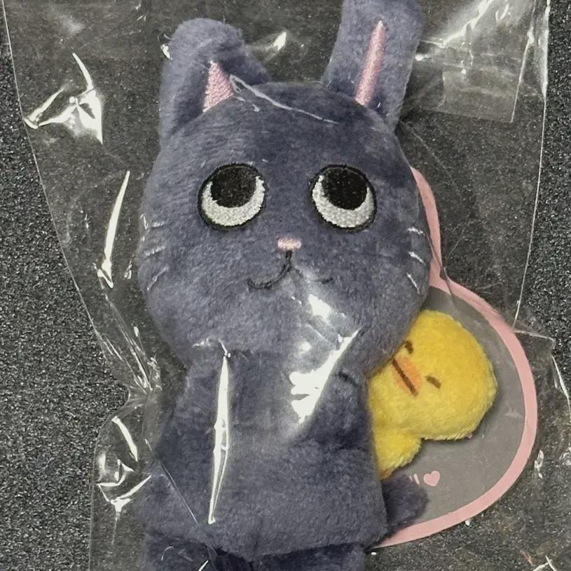 

Riize Tonyangdeok 10cm