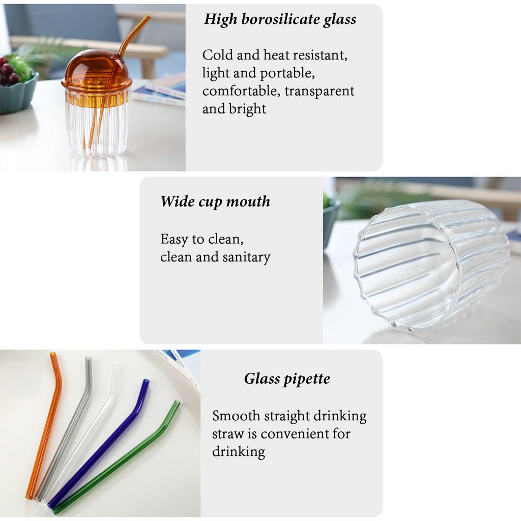 450ml Glass Cup with Lid and Straw Reusable Heat Resisting Cold Hot Drink Cup for Coffee Milk