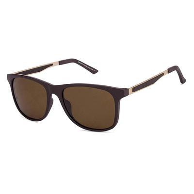 Neueste und stilvolle Vollrand-Sonnenbrille mit Wayfarer-Logo