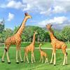 Outdoor Fiberglass Giraffe Sculptures