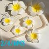 2/4/6pcs Plumeria Flower Hair Clips for Women Hawaiian Wedding Party Hair Accessories for Hats Bags Fashion Cute Side Clip