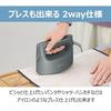 Panasonic Clothing Steamer 360° Powerful Steam Large Capacity Type Ivory NI-FS780-C