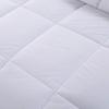 Gong Xiansheng Hotel & B&B Brushed All-White Duvet Insert