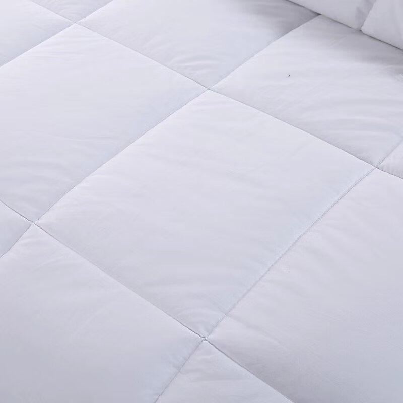 Gong Xiansheng Hotel & B&B Brushed All-White Duvet Insert