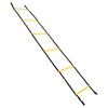 Speed Agility Training Ladder 2.6m Fixed Agility Ladder Speed Training Equipment for Football Basketball
