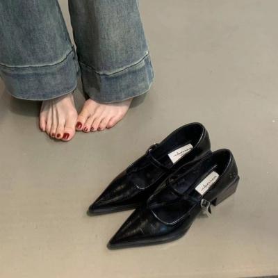 French Black Coarse Heel Mary Jane Shoes Spring Pointed Light Mouth High Heel Commuter Shoes