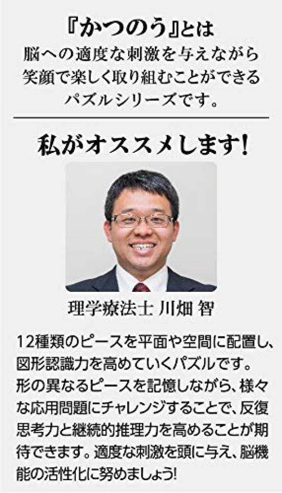 HANAYAMA Pentomino 12x15x3cm Katsunou 2D+3D