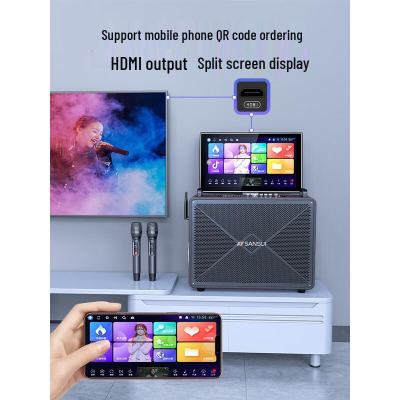SANSUI C1 Portable Home KTV Speaker System CN Plug (adapter Included)