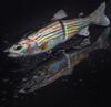 Wobbler Fishing Lure Pike Zander Catfish Imitates Trout Xxxl 68G 18.5Cm