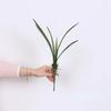 Study Decorative Artificial Clivia Leaves Plants Fake Flower Bedroom Decoration Simulated Cymbidium Leaf Green Plant Floral