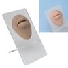 Silicone Lips Model 3D High Simulation Lifelike Elastic Lip Piercing Tattoo Practice Fake Lip Model for Training