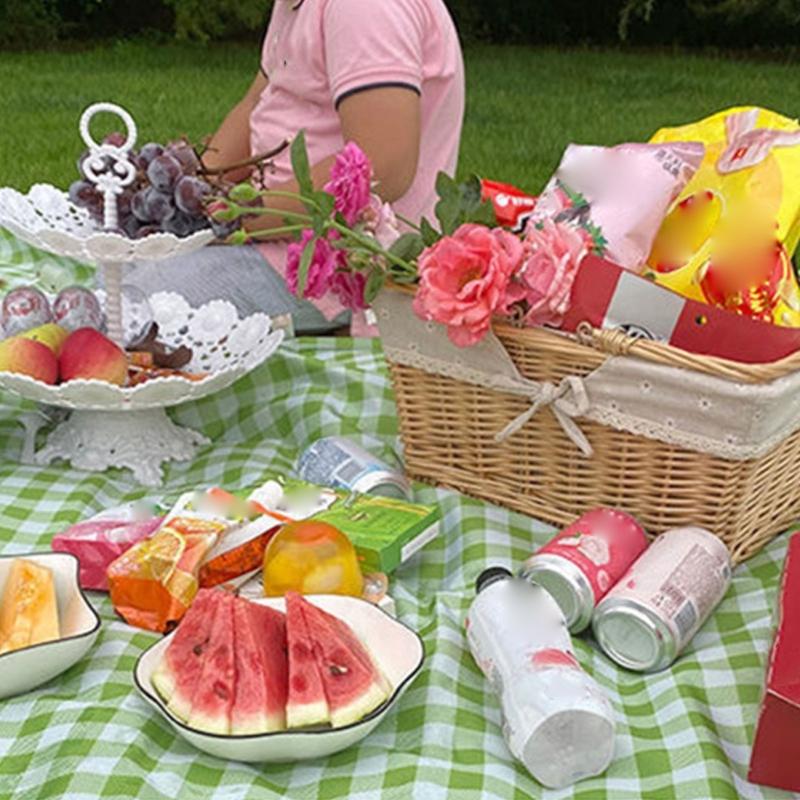 Opvouwbare Draagbare Picknickdeken Handige Mat Geruit Patroon Strandkleed voor Campings