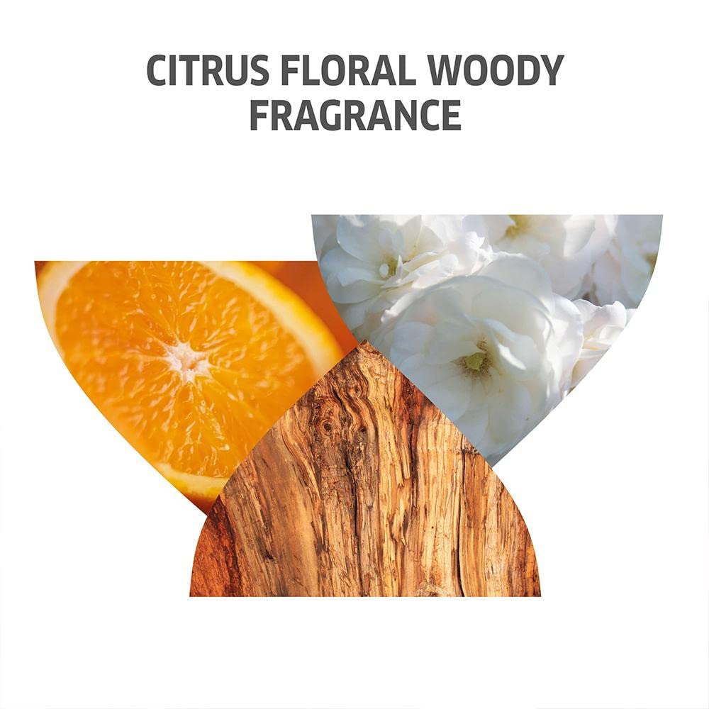 INVIGO Wella Professional Invigo Color Brilliance Lebendiger Farb-Conditioner 1000ml Behandlung 1,0 Liter (x 1)