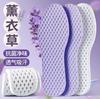 Summer military training insole wormwood deodorant breathable sweat absorption light shock absorption men's and women's multi-color casual breathable 