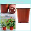 Och Lättvikt 10/50/100st Dubbelfärgade Plastväxter Barnkruka För Plantor**