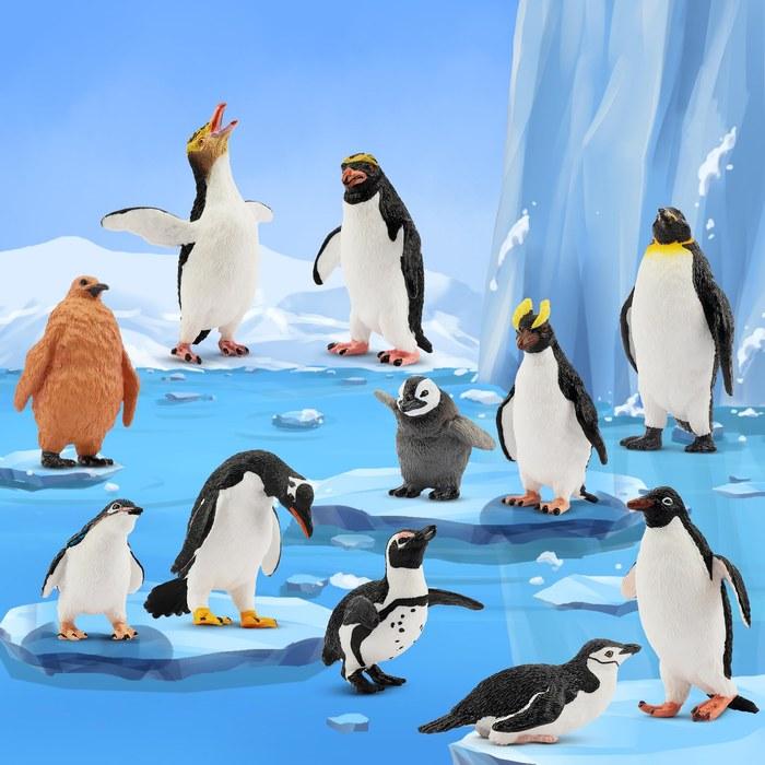 TOYMANY Penguin Figures 12PCS Antarctic Animal Set Realistic Animal Models Toys Collection 6+
