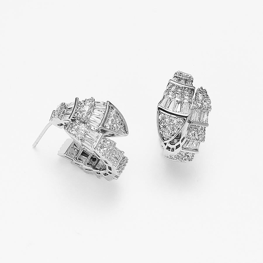 Snake earrings women's stud earrings temperament niche earrings 2025 new high-end circle earrings