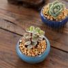 Vaso de Planta Suculenta Fofo Esmalte Craquelê Vaso de Cerâmica para Flores Decoração de Vaso de Flores