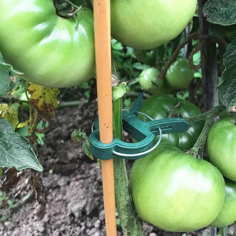 20pcs Plant Fixed Clips Reusable Garden Greenhouse Bracket Garden Plants Vine Climbing Clamp Flower Tomato Support Fastener