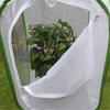 Collapsible Insect Cage Mesh Insect Habitat Cage Butterfly Mantis Stick Breeding Zipper Cages Home Outdoor Green Net Cloth