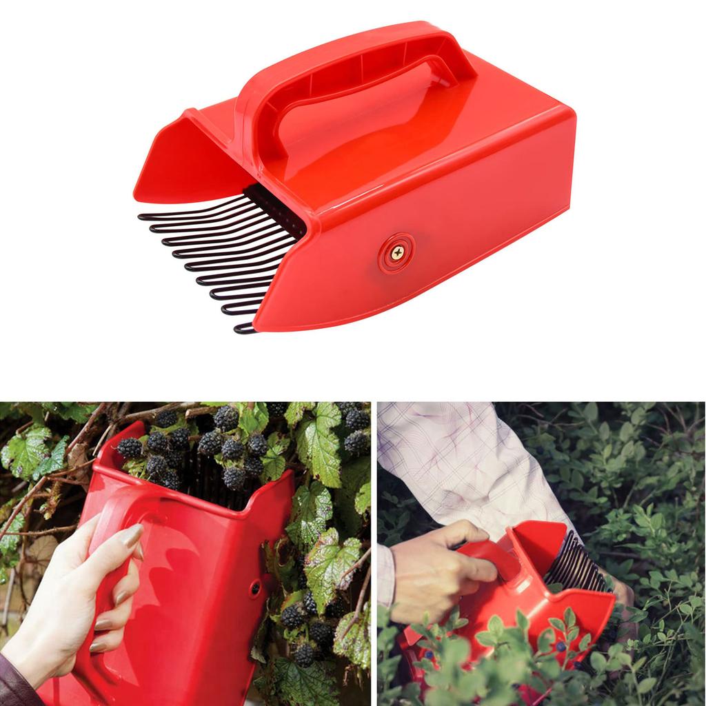 Beerenpflücker Blaubeerkamm Schaufel mit Metallkamm Ergonomischer Griff für einfaches Blaubeer-Heidelbeer-Ernten