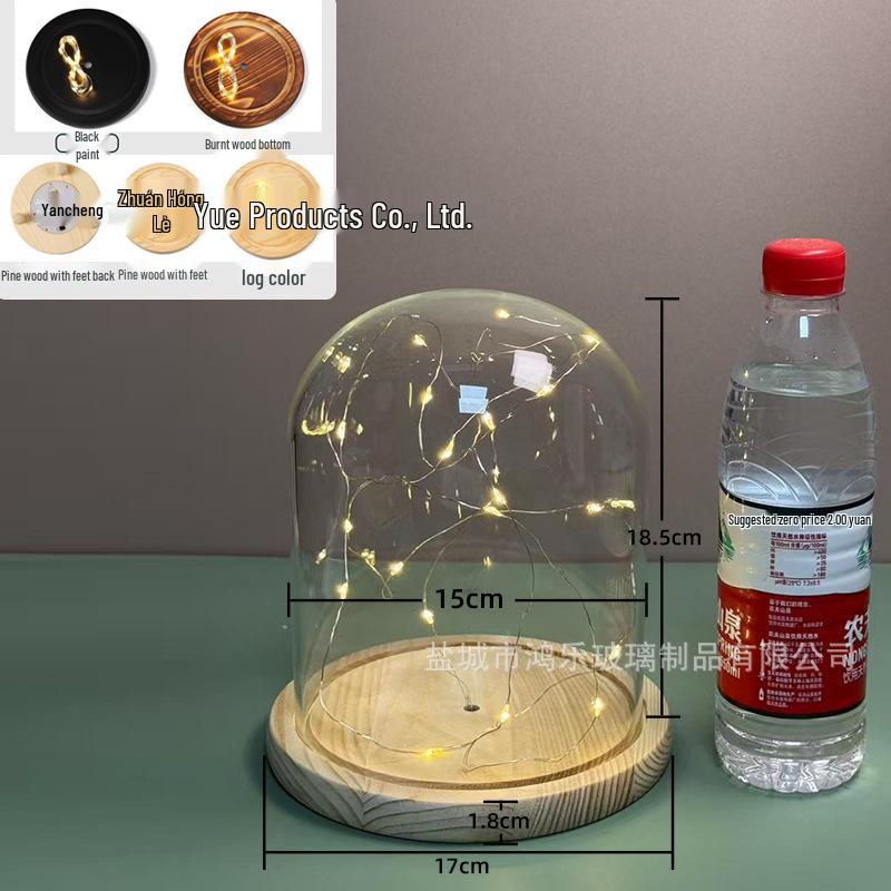 Luminous Sea Urchin Glass Dome with Preserved Flowers and String Lights