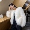 Winter New Imitation Raccoon Fur Coat Female Fox Hair Young Short Small Internet Celebrity Woven Imitation Fur Coat