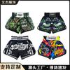 Pantaloncini da Boxe Uomo Donna Bambini MMA Allenamento Combattimento Stampati Kickboxing Atletici