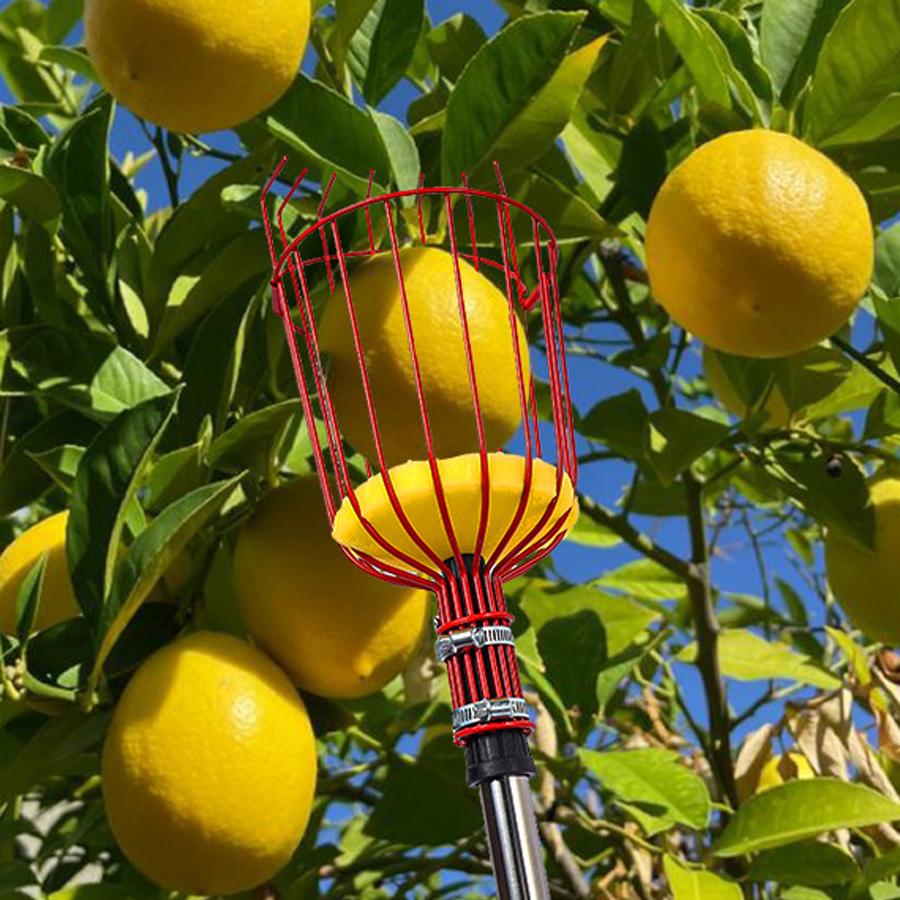 Fruit Picking Tools Hand Olive Gardening Accessories Collect Tool From the Tree Persimmon Picker Fruits Collector Farm Equipment