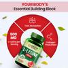 Vlado’s Himalayan Organics L-Lysine 500 mg Essential Amino Acid Capsules For Immune Support And Daily Wellness 120 Veg Capsules