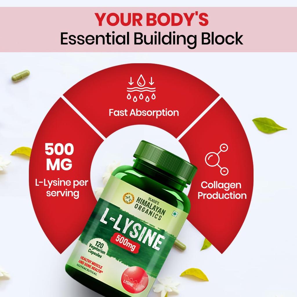 Vlado’s Himalayan Organics L-Lysine 500 mg Essential Amino Acid Capsules For Immune Support And Daily Wellness 120 Veg Capsules